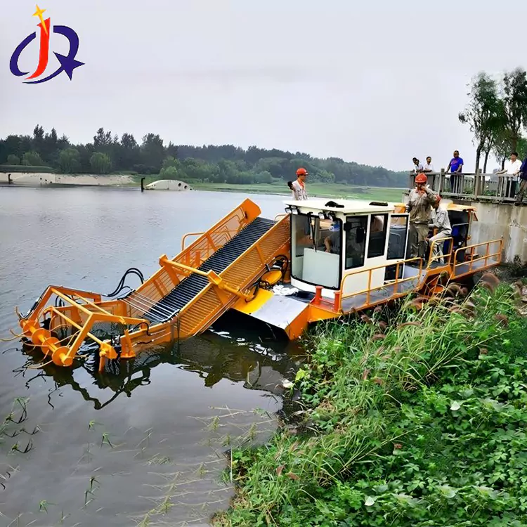 Waraabaha Iyo Doonta Goynta shinbiraha